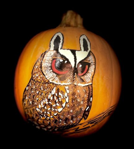 the Pumpkin Owls, Medium: acrylic paint on a pumpkin