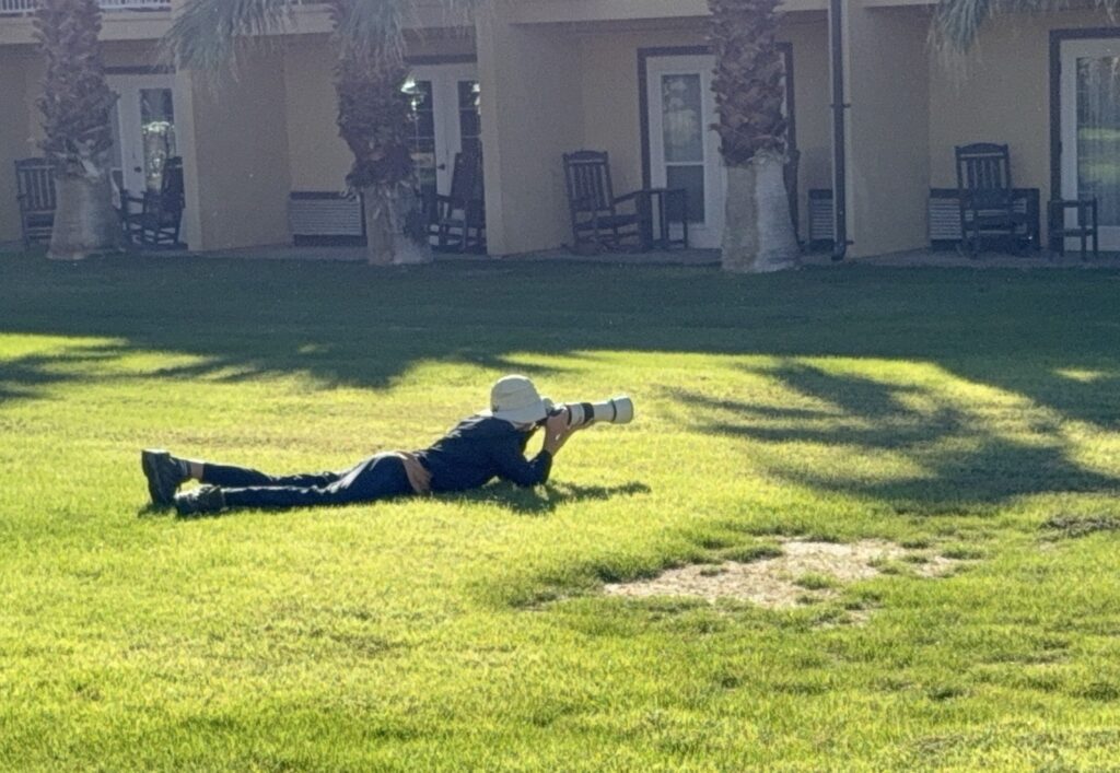 IMG_4517 at Furnace Creek, Death Valley