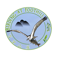 LOGO-birding