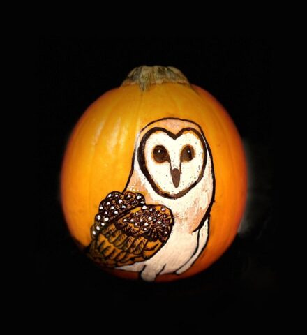 the Pumpkin Owls, Medium: acrylic paint on a pumpkin